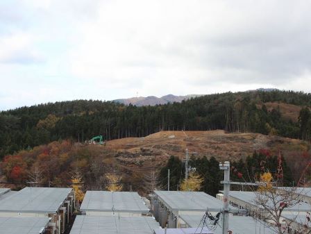 デジタルアーカイブ:20141114_M254.jpg