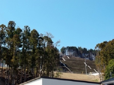 デジタルアーカイブ:265_20150327_M265.jpg